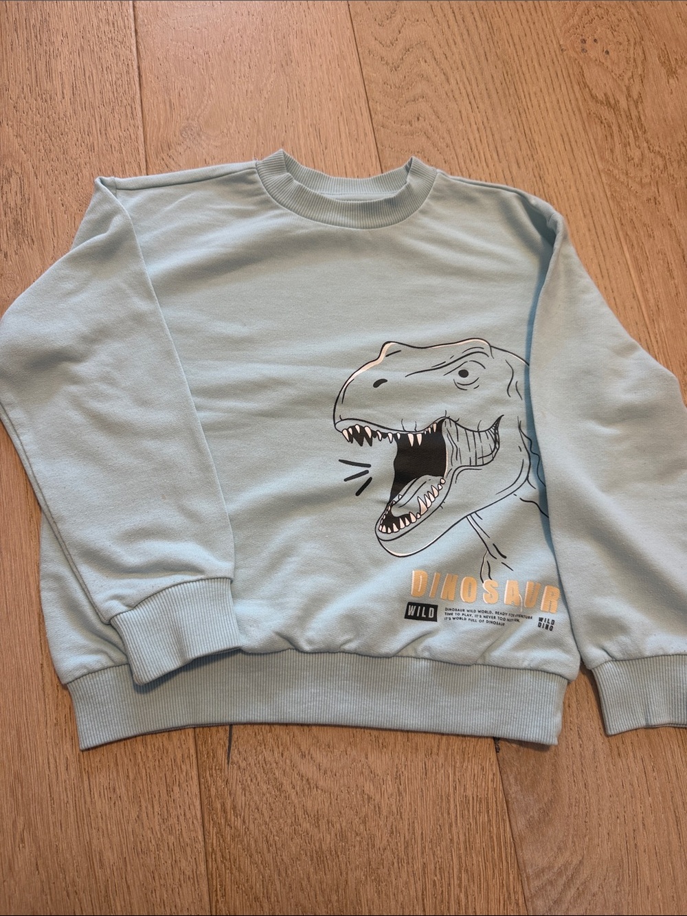 Light Blue Dinosaur Graphic Sweatshirt